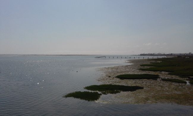 agua 